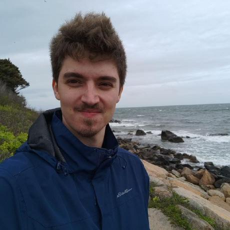 Portrait of a Rust community contributor